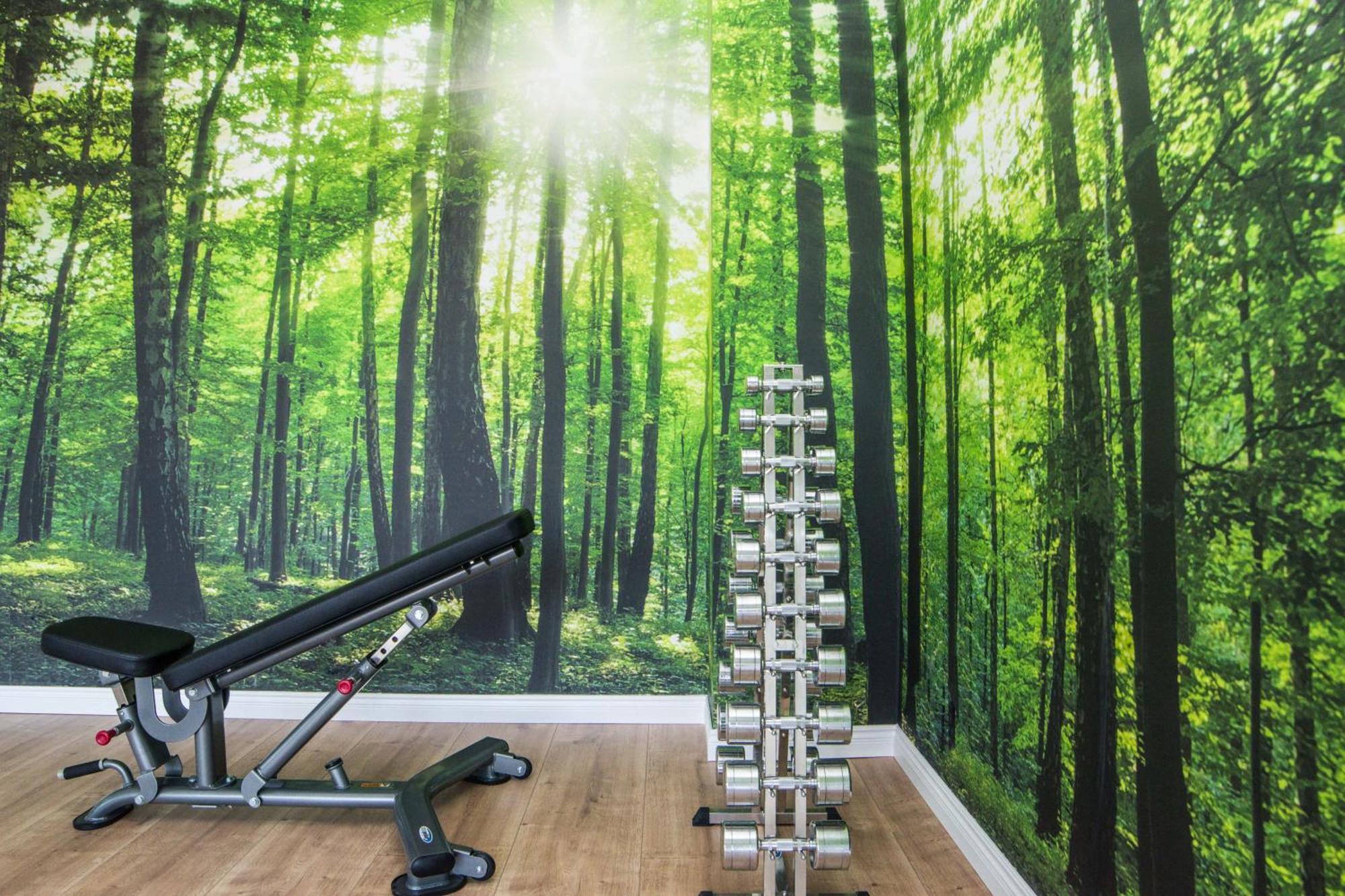 Pod Brzozami Apartamenty Gea Eco Sianozety Exteriör bild